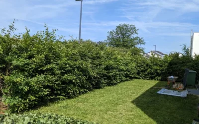 Des services professionnels pour l’entretien de jardin en Moselle