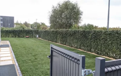 Entretien de jardin à Thionville : une aide pour prendre soin de vos espaces verts