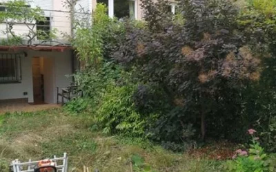 Entretien paysager à Le Muy : un grand soin apporté à vos extérieurs