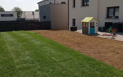 Tonte de pelouse à Esch-sur-Alzette : pour une pelouse impeccable toute l’année
